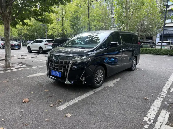 Elfa 2021 Model Hybrid 2.5L Deluxe Edition – фото 1