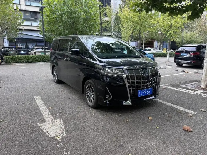 Elfa 2021 Model Hybrid 2.5L Deluxe Edition – фото 2