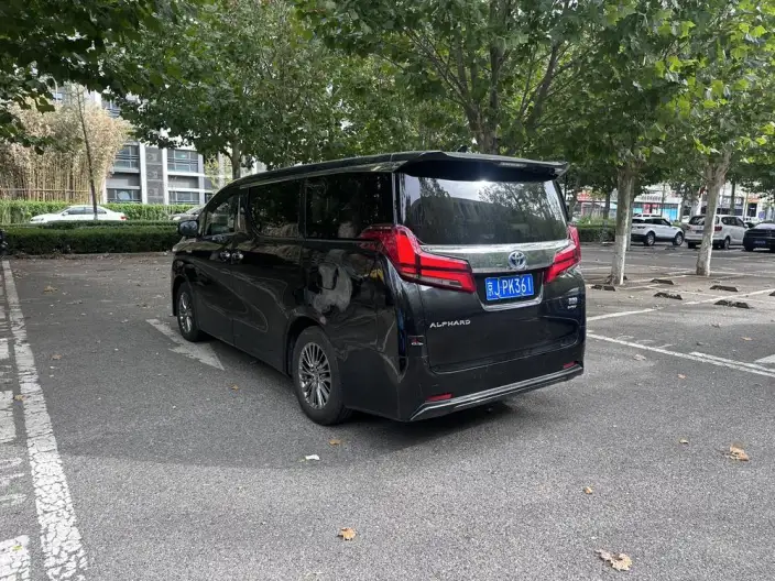 Elfa 2021 Model Hybrid 2.5L Deluxe Edition – фото 3
