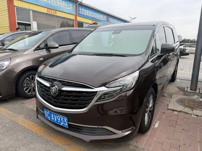 Buick GL8 2021 Model ES Luzun 653T Exclusive Model – фото 1
