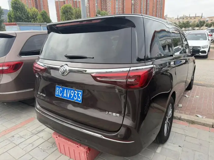 Buick GL8 2021 Model ES Luzun 653T Exclusive Model – фото 2