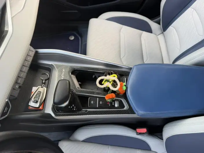 Geely StarRui 2023 Model 2.0T Luxury Model – фото 11