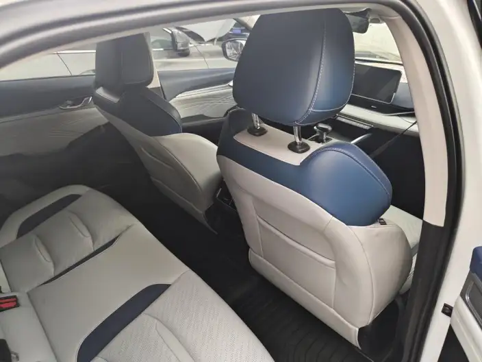Geely StarRui 2020 Model 2.0T Luxury Model – фото 10