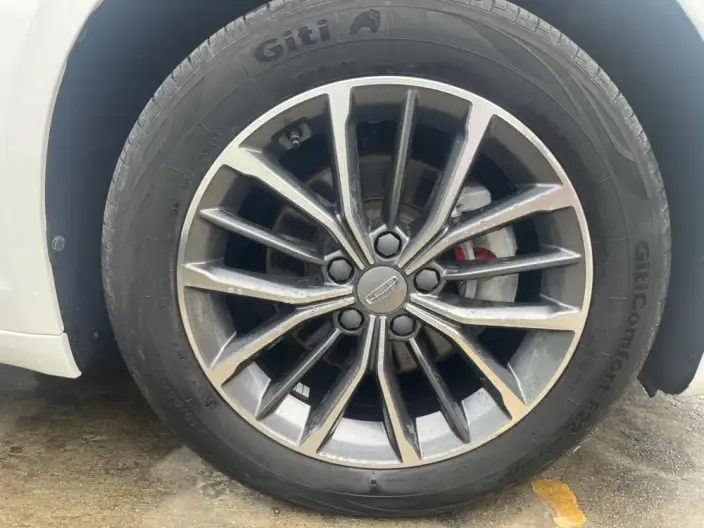 Geely StarRui 2020 Model 2.0T Luxury Model – фото 6