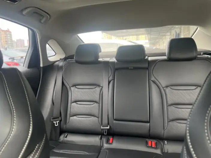 Geely StarRui 2020 Model 2.0T Luxury Model – фото 15