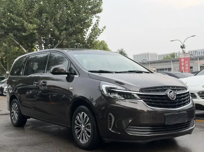 Buick GL8 2021 Model Facelift Business class 652T Comfort Model – фото 3