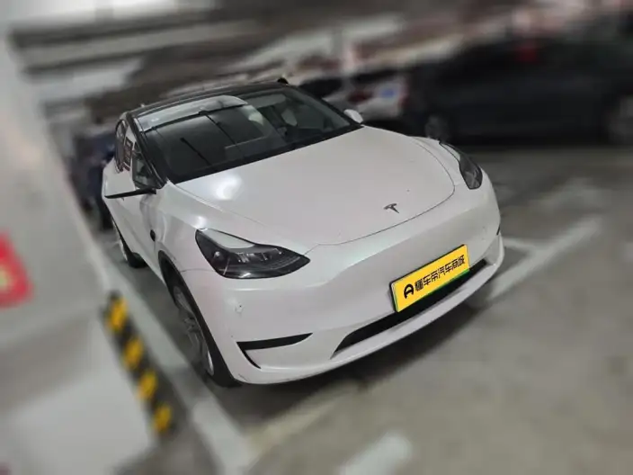 Model Y 2022 Model Facelift Rear-wheel drive version – фото 3
