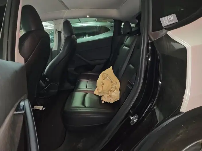 Model Y 2022 Model Facelift Rear-wheel drive version – фото 12