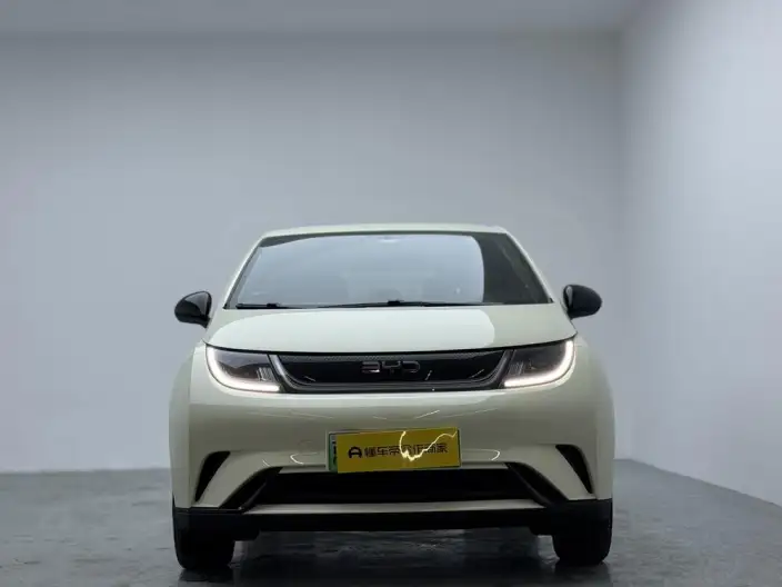 BYD Dolphin 2025 Model 420KM Vitality Edition – фото 2