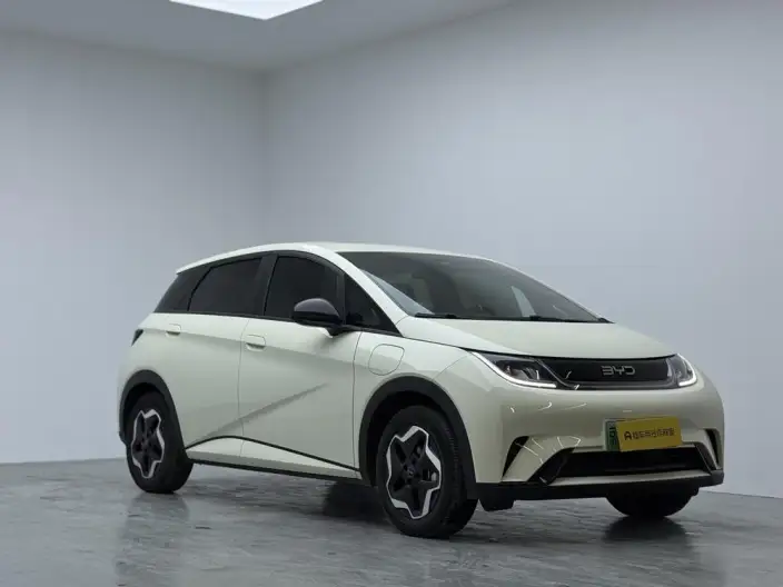 BYD Dolphin 2025 Model 420KM Vitality Edition – фото 3
