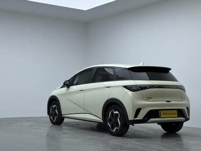 BYD Dolphin 2025 Model 420KM Vitality Edition – фото 4