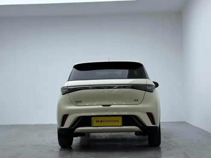 BYD Dolphin 2025 Model 420KM Vitality Edition – фото 5