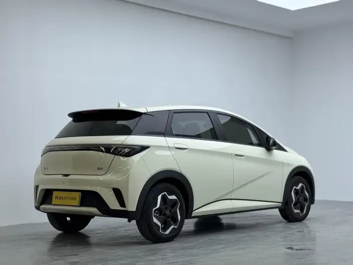 BYD Dolphin 2025 Model 420KM Vitality Edition – фото 6