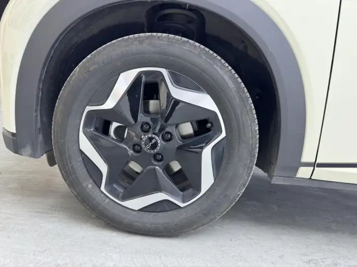 BYD Dolphin 2025 Model 420KM Vitality Edition – фото 10