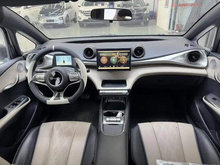 BYD Dolphin 2025 Model 420KM Vitality Edition – фото 12