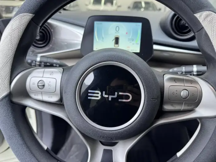 BYD Dolphin 2025 Model 420KM Vitality Edition – фото 16