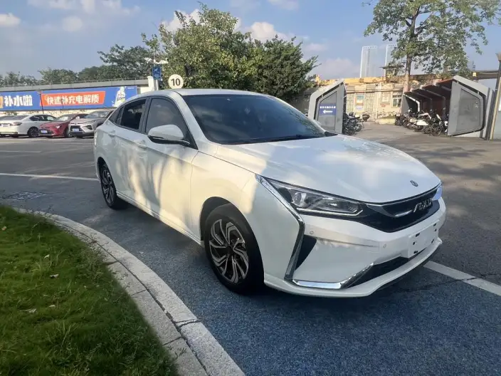 Yixuan Max 2021 Model 1.5T Super cool trendy Dad version – фото 3