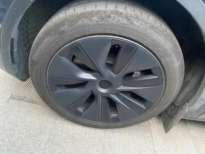 Model Y 2024 Model Rear-wheel drive version – фото 6