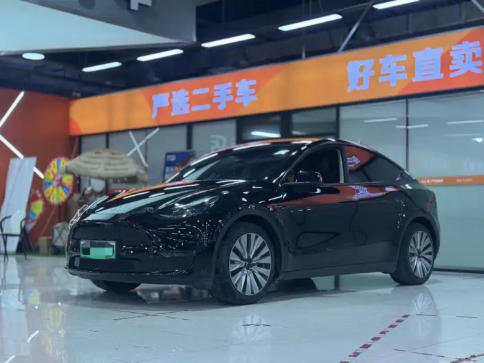 Model Y 2021 Model Standard Battery Life Rear-wheel drive version – фото 1