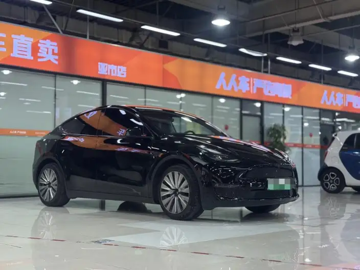 Model Y 2021 Model Standard Battery Life Rear-wheel drive version – фото 2