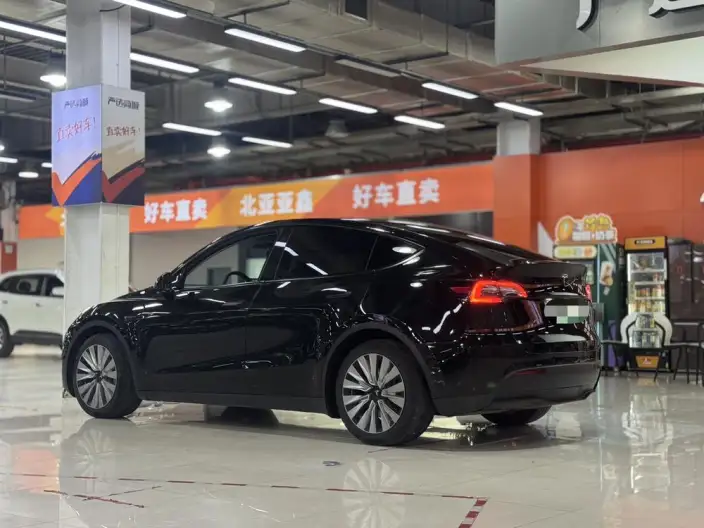 Model Y 2021 Model Standard Battery Life Rear-wheel drive version – фото 3