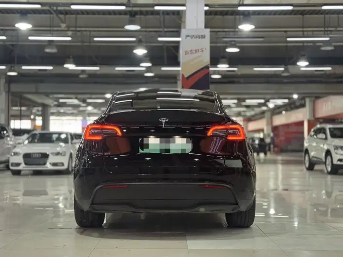 Model Y 2021 Model Standard Battery Life Rear-wheel drive version – фото 4