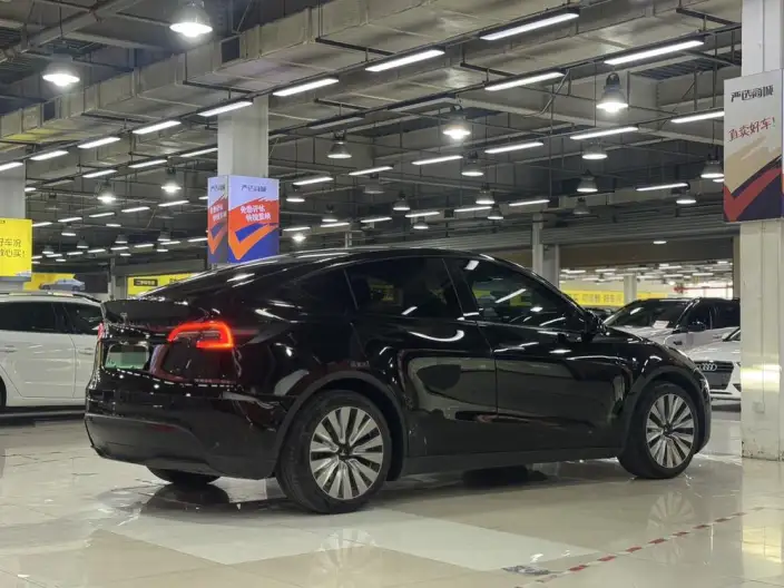 Model Y 2021 Model Standard Battery Life Rear-wheel drive version – фото 5