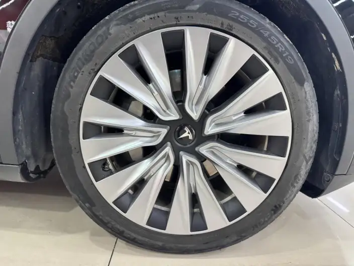 Model Y 2021 Model Standard Battery Life Rear-wheel drive version – фото 6