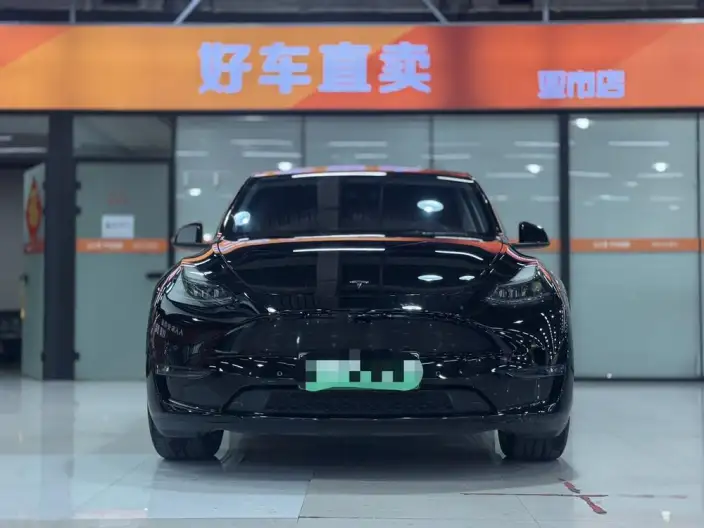 Model Y 2021 Model Standard Battery Life Rear-wheel drive version – фото 9