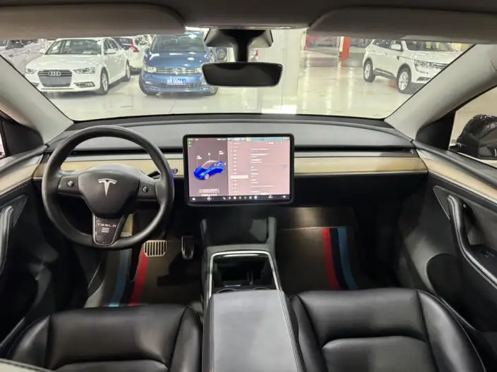 Model Y 2021 Model Standard Battery Life Rear-wheel drive version – фото 14