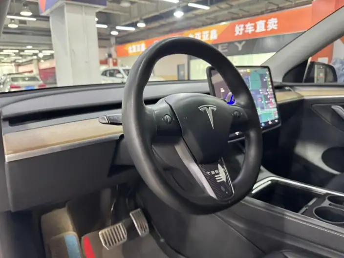 Model Y 2021 Model Standard Battery Life Rear-wheel drive version – фото 16