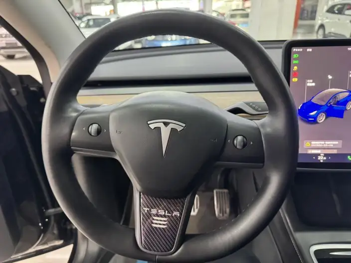 Model Y 2021 Model Standard Battery Life Rear-wheel drive version – фото 17
