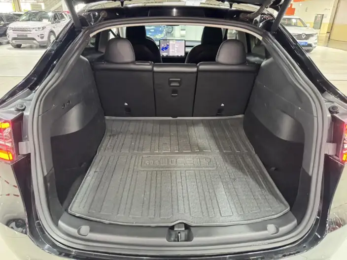 Model Y 2021 Model Standard Battery Life Rear-wheel drive version – фото 20