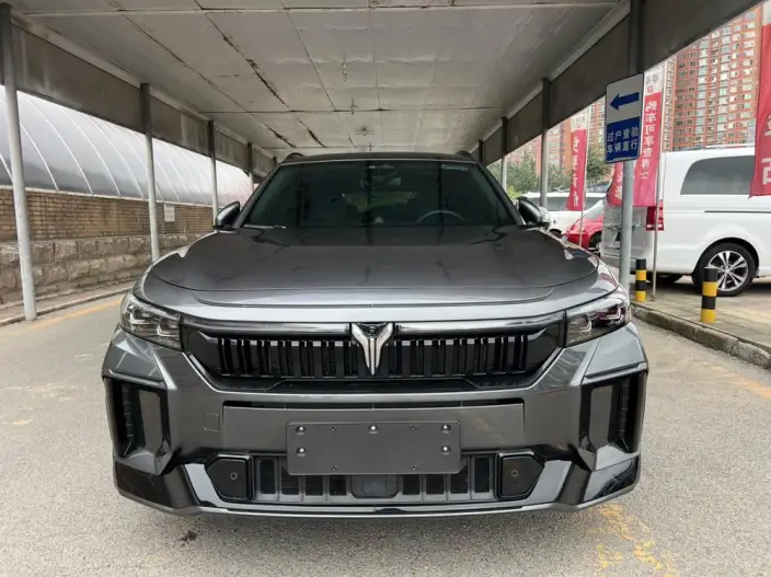 VOYAH FREE 2025 Model 318 4WD Tiggo Edition – фото 2