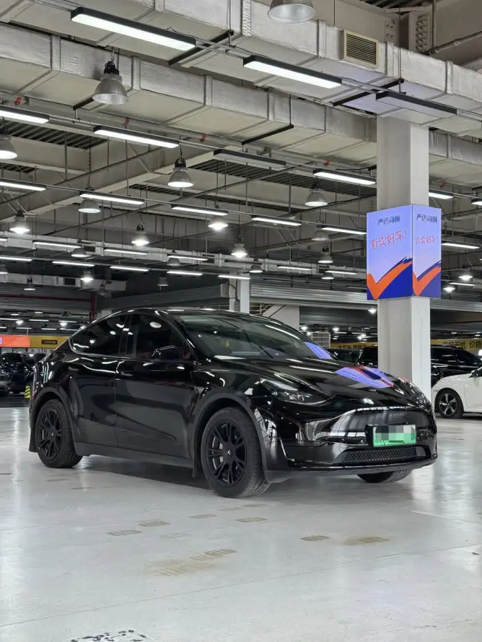 Model Y 2022 Model Facelift Rear-wheel drive version – фото 3