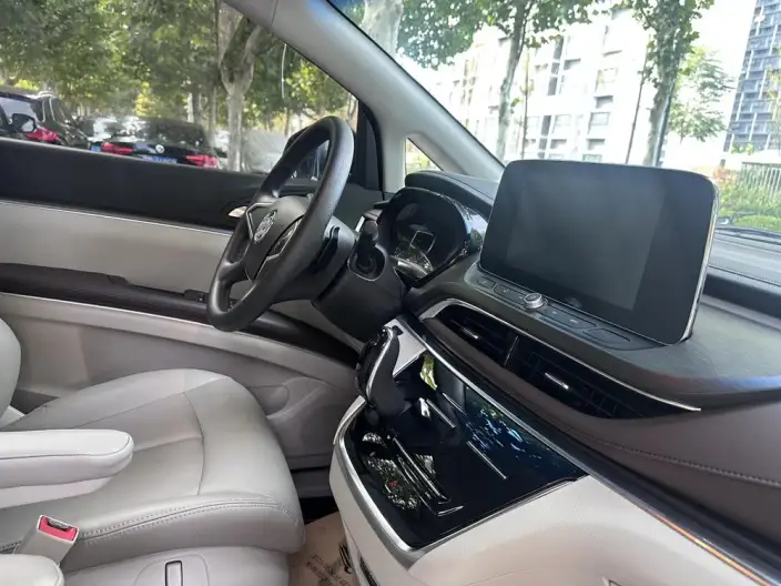 Buick GL8 2023 Model Business class 2.0T Comfort Model – фото 6