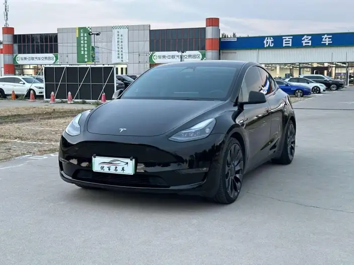 Model Y 2023 Model Performance High performance All-wheel drive version – фото 1