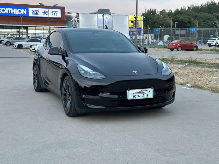 Model Y 2023 Model Performance High performance All-wheel drive version – фото 3