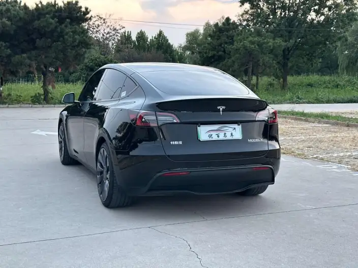 Model Y 2023 Model Performance High performance All-wheel drive version – фото 5