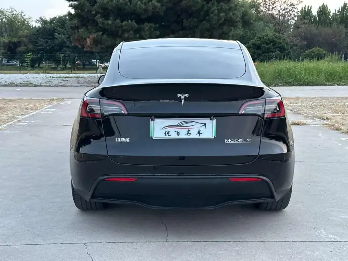 Model Y 2023 Model Performance High performance All-wheel drive version – фото 6