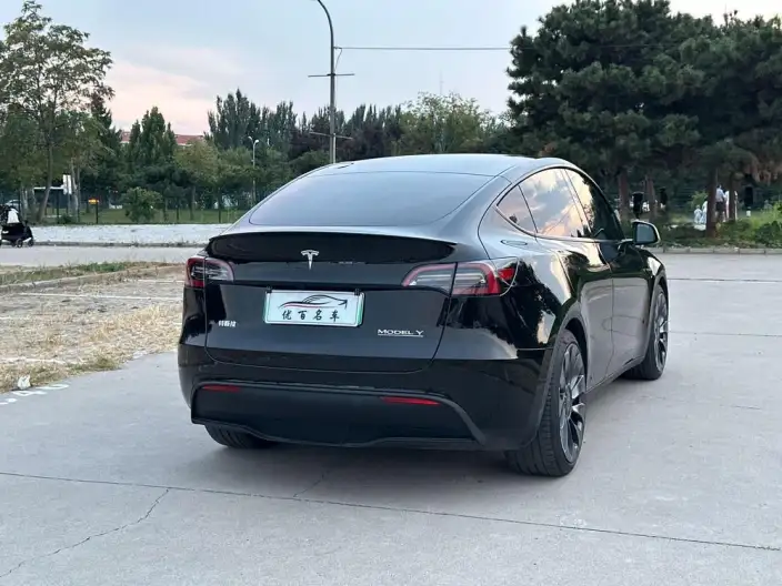Model Y 2023 Model Performance High performance All-wheel drive version – фото 7