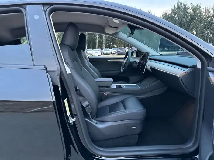 Model Y 2023 Model Performance High performance All-wheel drive version – фото 22