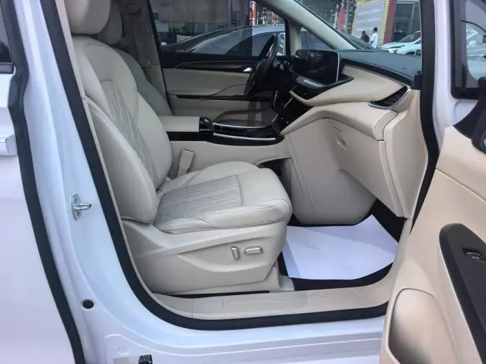 Buick GL8 2023 Model ES Luzun 2.0T Luxury Model – фото 20