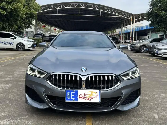 BMW 8 Series 2021 Model 840i Four-door Coupe M Sports Set – фото 2
