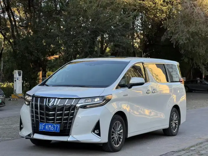 Elfa 2021 Model Hybrid 2.5L Deluxe Edition – фото 1