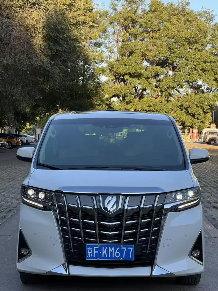 Elfa 2021 Model Hybrid 2.5L Deluxe Edition – фото 2
