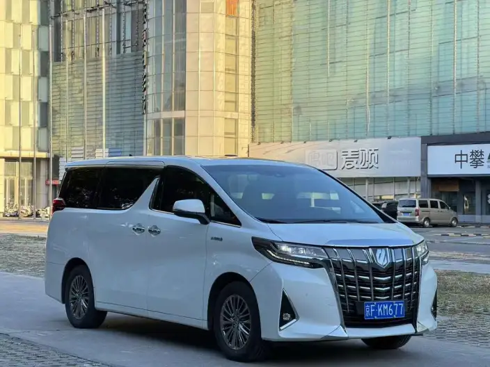 Elfa 2021 Model Hybrid 2.5L Deluxe Edition – фото 3