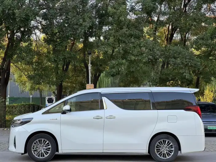 Elfa 2021 Model Hybrid 2.5L Deluxe Edition – фото 4