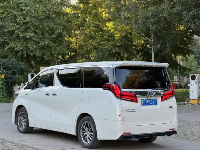 Elfa 2021 Model Hybrid 2.5L Deluxe Edition – фото 5