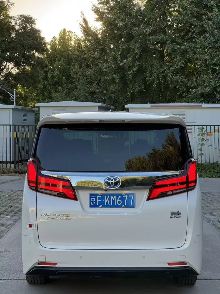 Elfa 2021 Model Hybrid 2.5L Deluxe Edition – фото 6